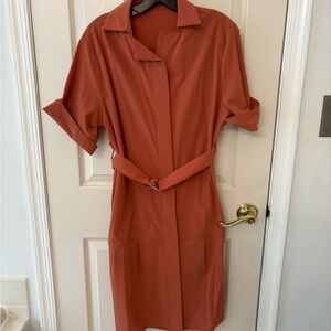 Elegant Rust Belted Shirt Dress
